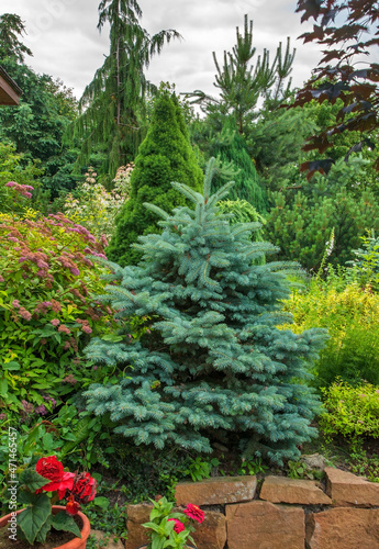 Garden 1 near Urzedow town. Poland