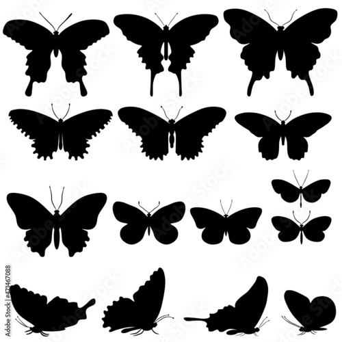 set of butterflies silhouettes svg vector illustration