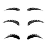 Graphic drawing of different eyebrow shapes on a white background.