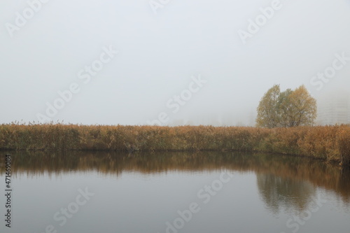 thick fog on the lake