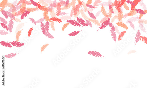 Falling feather elements soft vector design.