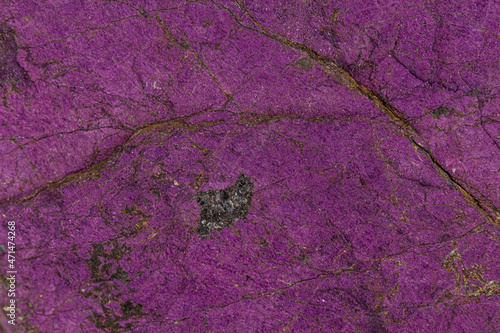 Macro mineral stone purpureus, (purple) purpurite in the breed a white background photo