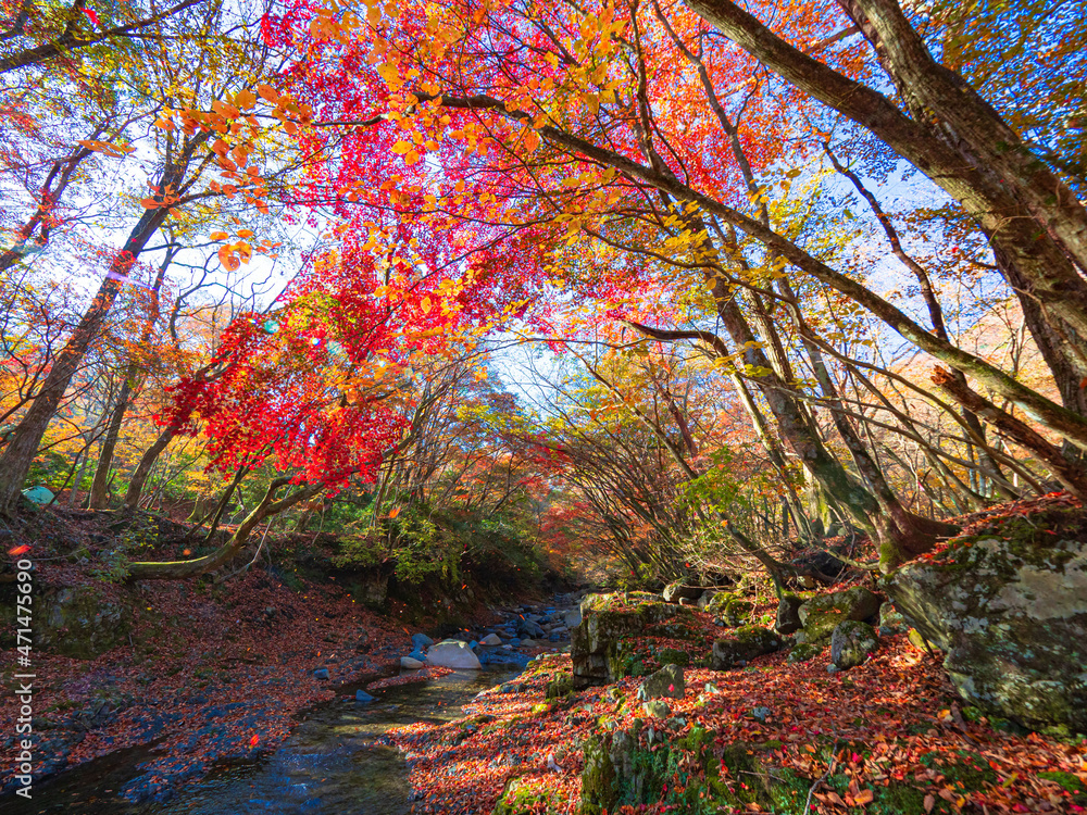 紅葉と渓谷　Japan's four seasons　鈴鹿の上高地