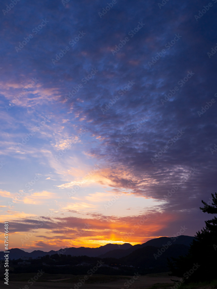 Naklejka premium 砂丘の夕焼け