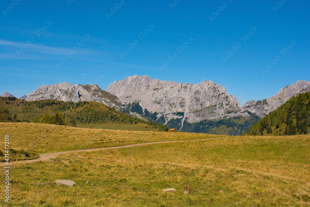 The Laghi di Festons alpine meadow on Sella Festons near Sauris di Sopra, Udine Province, Friuli-Venezia Giulia, north east Italy. Used as a summer pasture for dairy cows
The Laghi di Festons alpine meadow on Sella Festons near Sauris di Sopra, Udine Province, Friuli-Venezia Giulia, north east Italy. Used as a summer pasture for dairy cows