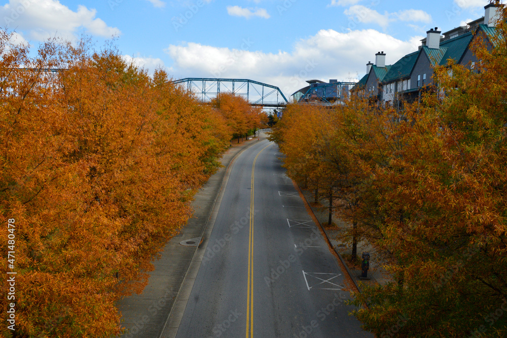 View of beautiful fall foliage along empty street and sidewalk