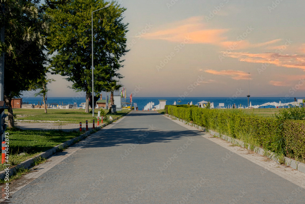 Obraz premium walking path towards the sea surrounded by palm and trees. Selective Focus. no people. sunset sky. copy space