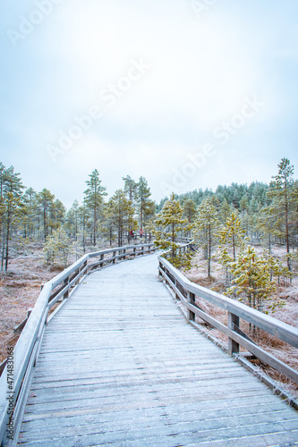 Landscape with mire from Finnish national park Seitseminen © Tuomas Lahtinen