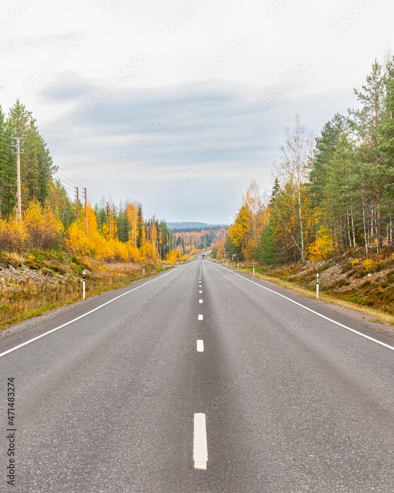 Naklejka premium Road through autumn colored woods in Finland