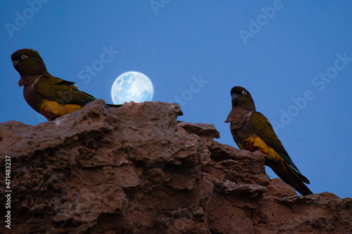 La luna cayendo entre los barrancos 