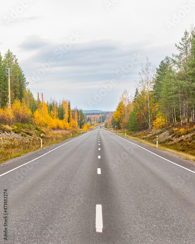 Road through autumn colored woods in Finland