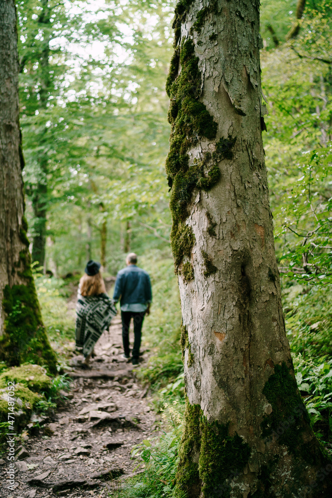 Woman and man walk along the path among the trees in the park. Back view