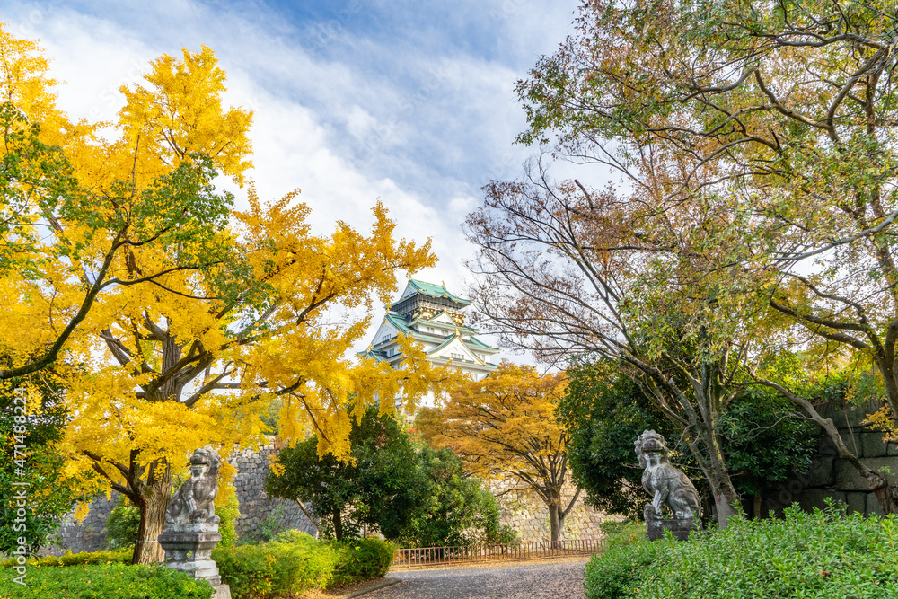 Fototapeta premium 大阪城天守閣と秋の紅葉（イチョウの木）