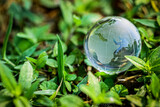 Earth day and world environment day. Green planet concept. World globe crystal glass surrounding by green leaf.