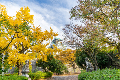 大阪城天守閣と秋の紅葉（イチョウの木）