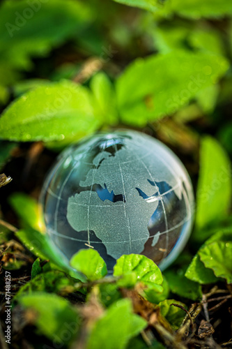 Fototapeta Naklejka Na Ścianę i Meble -  Earth day and world environment day. Green planet concept. World globe crystal glass surrounding by green leaf.