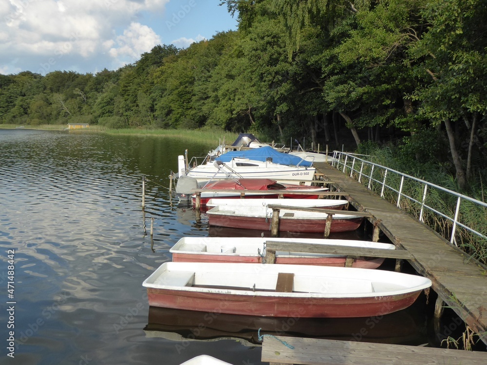 Fototapeta premium Jetty at the Nebelsee, which borders the federal states of Brandenburg and Mecklenburg-Western Pomerania in Germany Bootssteg am Nebelsee, der an die Bundesländer Brandenburg und Mecklenburg-Vorpommer