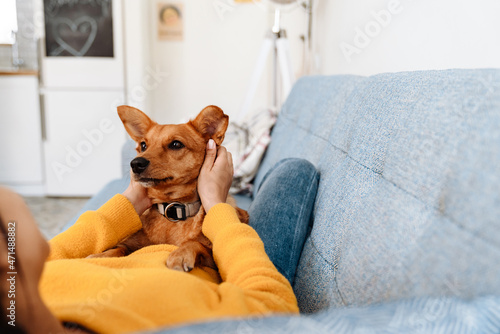 Young hispanic woman petting her dog while resting on couch