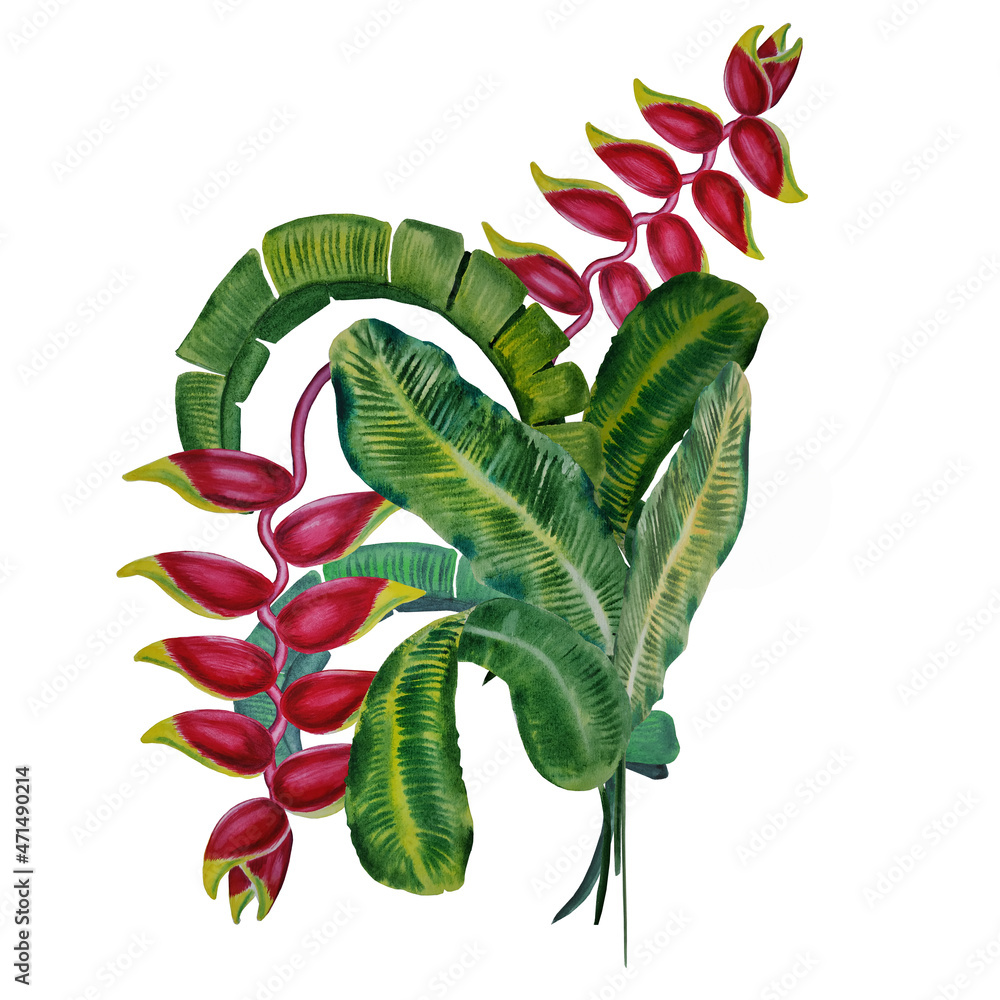 Tropical flower arrangements with red heliconia flowers and leaves ...