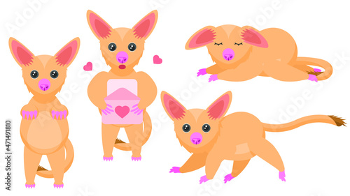 Set Abstract Collection Flat Cartoon Different Animal Fox Kuzu Brushtail Possum Stand, Sleeping, Reading A Love Letter Vector Design Style Elements Fauna Wildlife