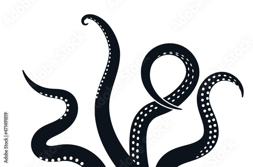 Octopus tentacle vector giant illustration monster sea creature. Octopus tentacle squid ocean icon