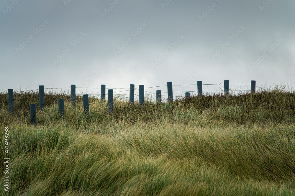 fence on the Dutch dunes