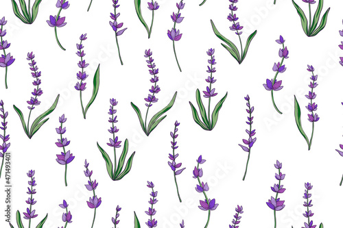 Seamless pattern of lavender, color vector illustration
