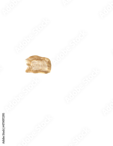 Brush Strokes on White Background for Graphic Elements, Digital Painting and Design