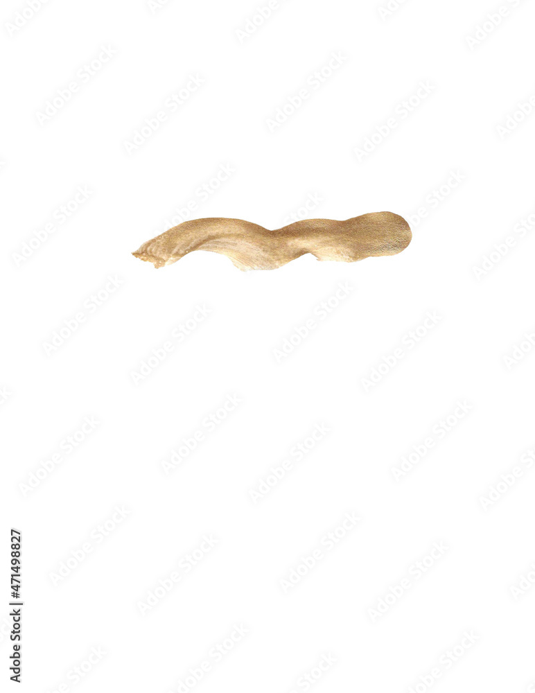 Fototapeta premium Brush Strokes on White Background for Graphic Elements and Design