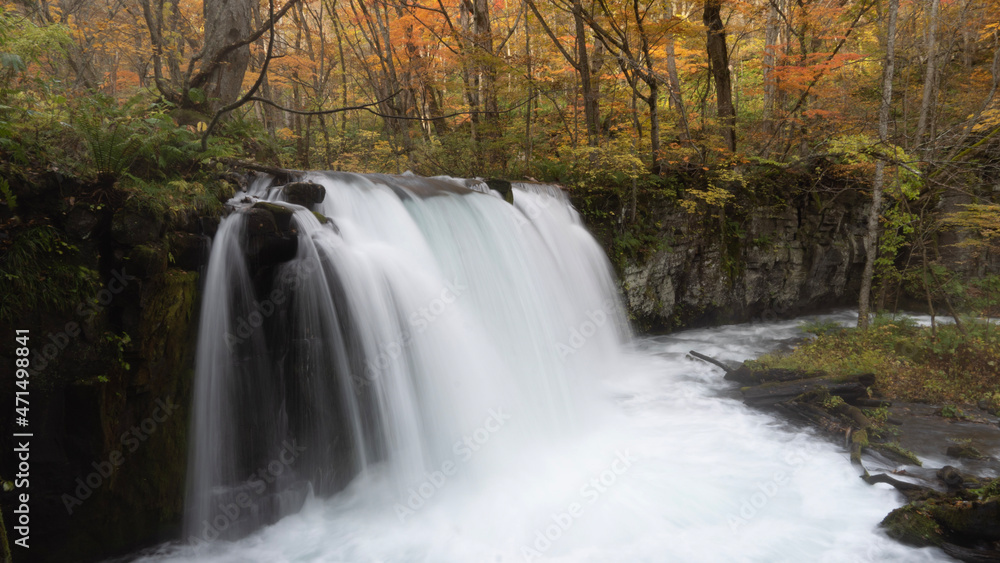 Fototapeta premium waterfall in autumn