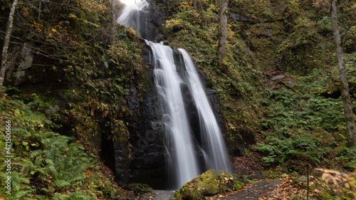 waterfall in the forest