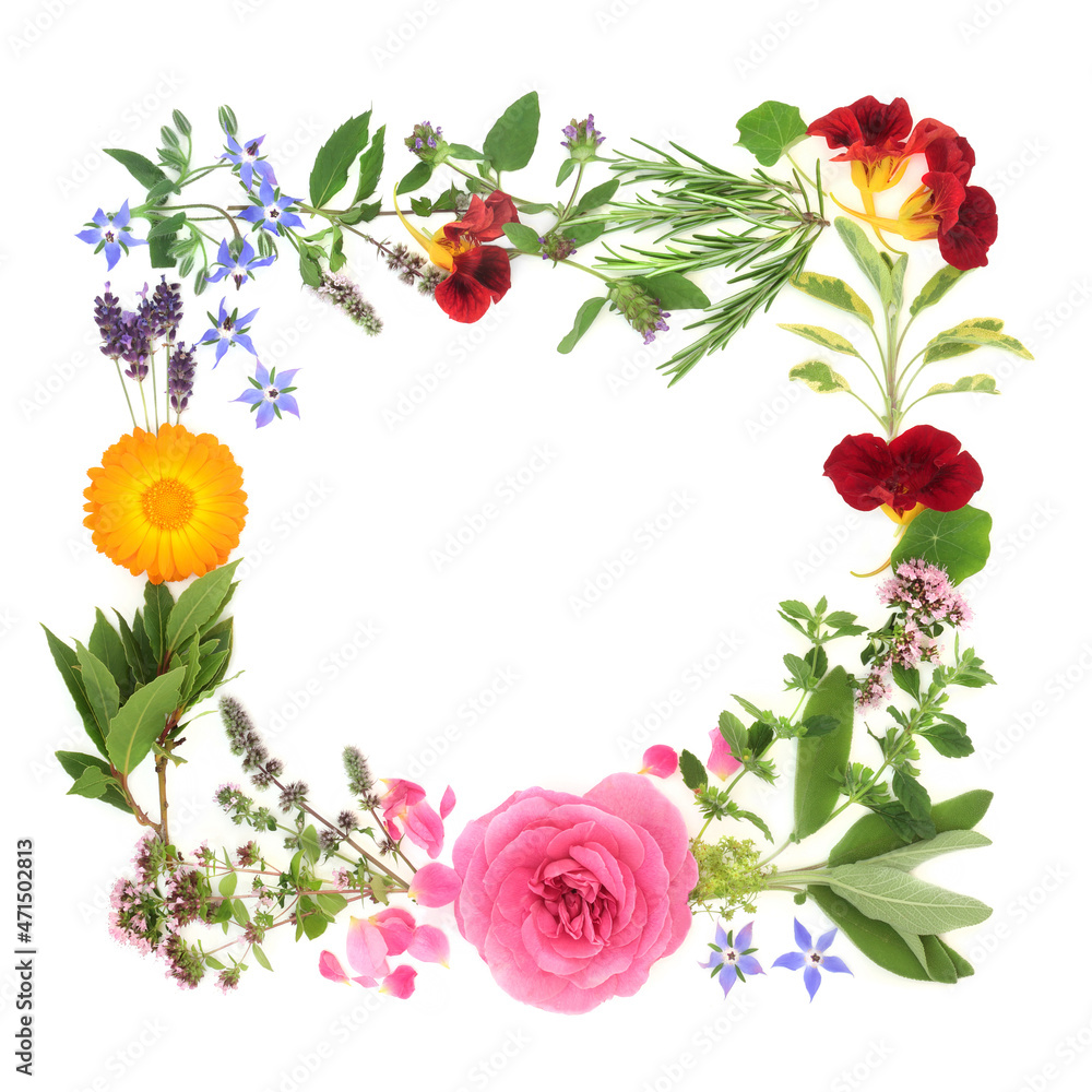 Herb and flower wreath for natural healing plant medicine remedies, seasoning and food decoration. Herbal health care concept on white background. Flat lay, top view, copy space.