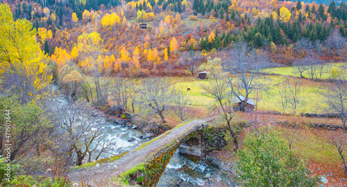 Old stone bridge with autumn landscape - Savsat, Turkey 
