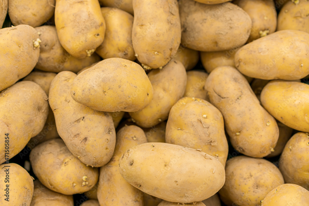 Food backgrounds. Fresh sweet potato in supermarket. Food backgrounds. Fresh sweet potato in supermarket.