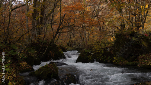 mountain stream in winter