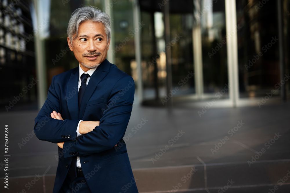 Fototapeta premium Portrait of senior businessman. Handsome man in suit outdoors..