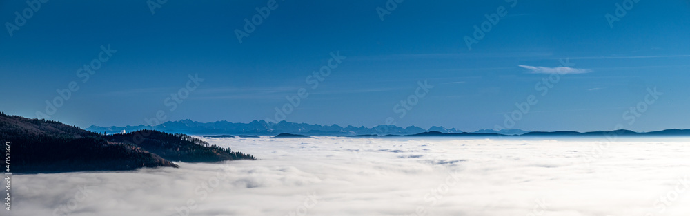 Alpenblick vom Zeller Blauen auf den Schweizer Alpenhauptkamm
