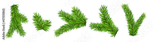Fotografie, Obraz Pine tree branch isolated fir vector decoration xmas green background evergreen