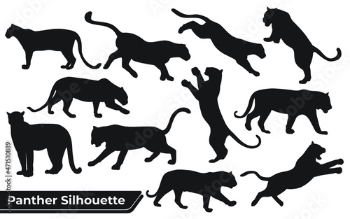 Collection of animal Panther in different positions