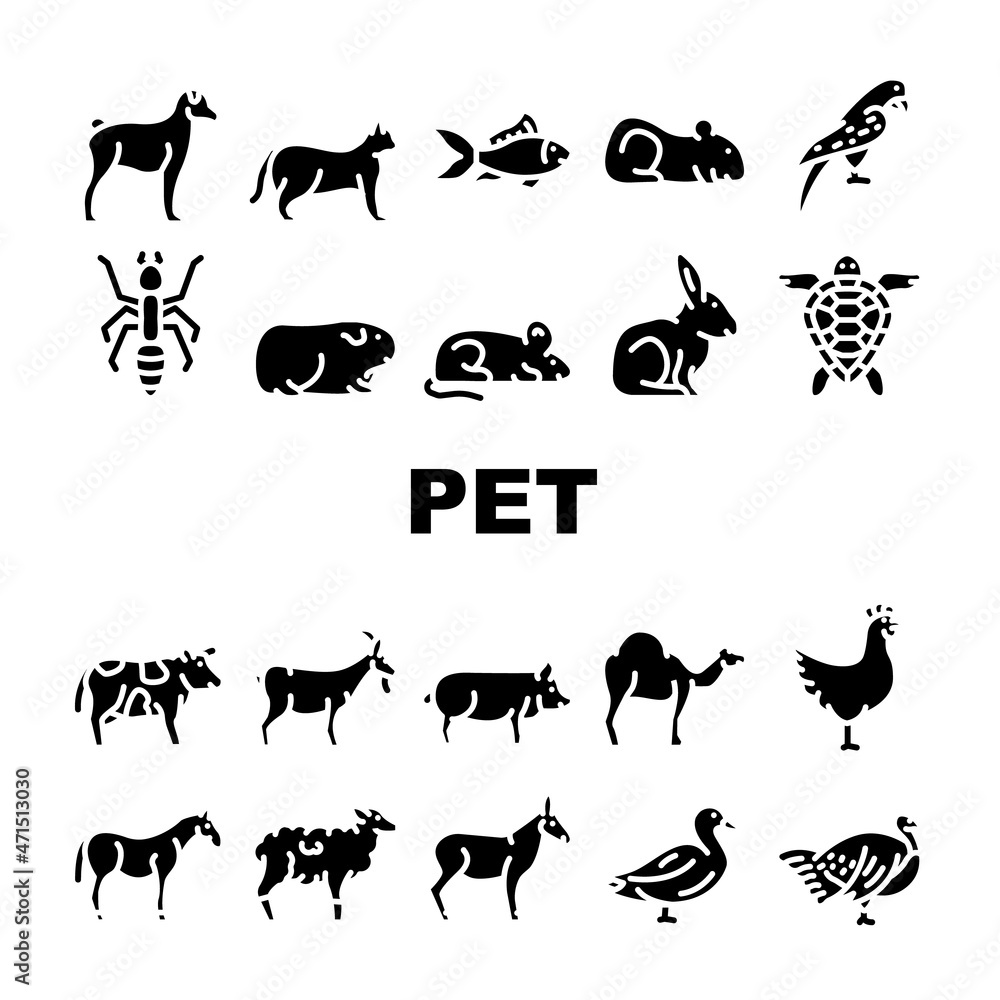 Pet Domestic, Farm And Sea Aqua Icons Set Vector. Mice And Hamster, Dog Puppy And Cat Kitty Pet, Horse And Camel, Parrot And Chicken Bird, Turtle And Aquarium Fish Glyph Pictograms Black Illustrations