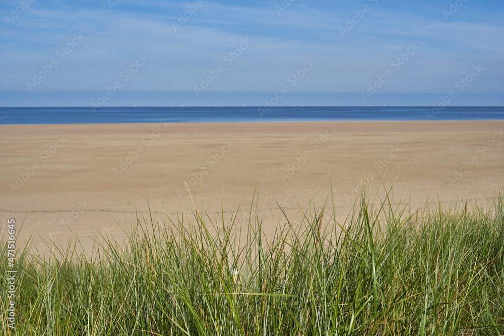 Simple empty landscape in front of the Dutch North Sea. Green grass dune in front of free sandy beach, behind it the sea. At noon. Front view. South Holland, Zeeland, Brouwersdam.