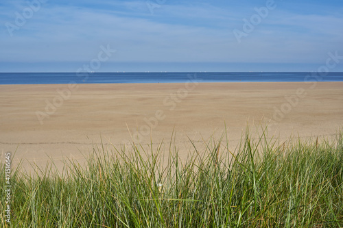 Simple empty landscape in front of the Dutch North Sea. Green grass dune in front of free sandy beach, behind it the sea. At noon. Front view. South Holland, Zeeland, Brouwersdam. © Jan