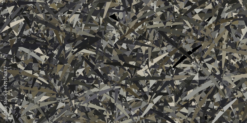 Light gray vector background with triangles. Light gray vector background with triangles.