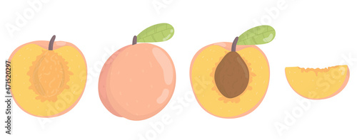 Set peach. Bright set of colorful half, slice and whole of juicy peach.