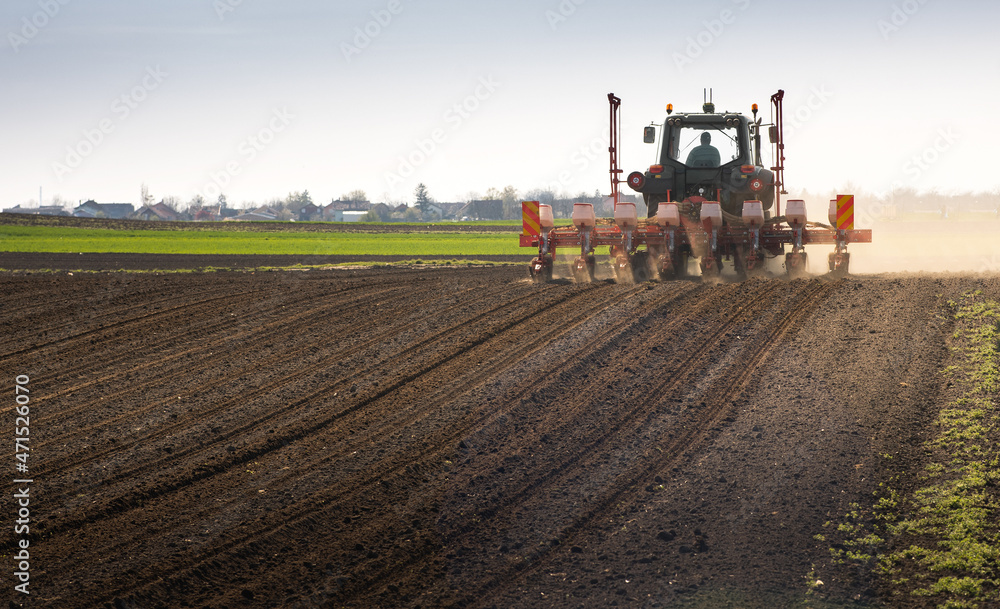 Fototapeta premium Sowing crops at agricultural fields in spring