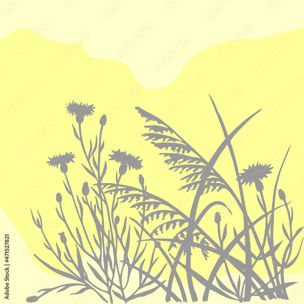 illustration of field herbs in pastel colors illustration of field herbs in pastel colors