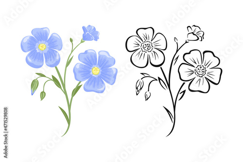 Fototapeta Naklejka Na Ścianę i Meble -  Flax flower. Color vector cartoon illustration and silhouette.