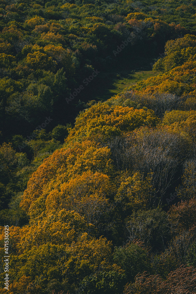 autumn in the mountains autumn in the mountains