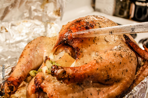 Thanksgiving Turkey dinner getting basted   photo