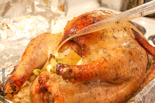 Konstfotografi Thanksgiving Turkey dinner getting basted